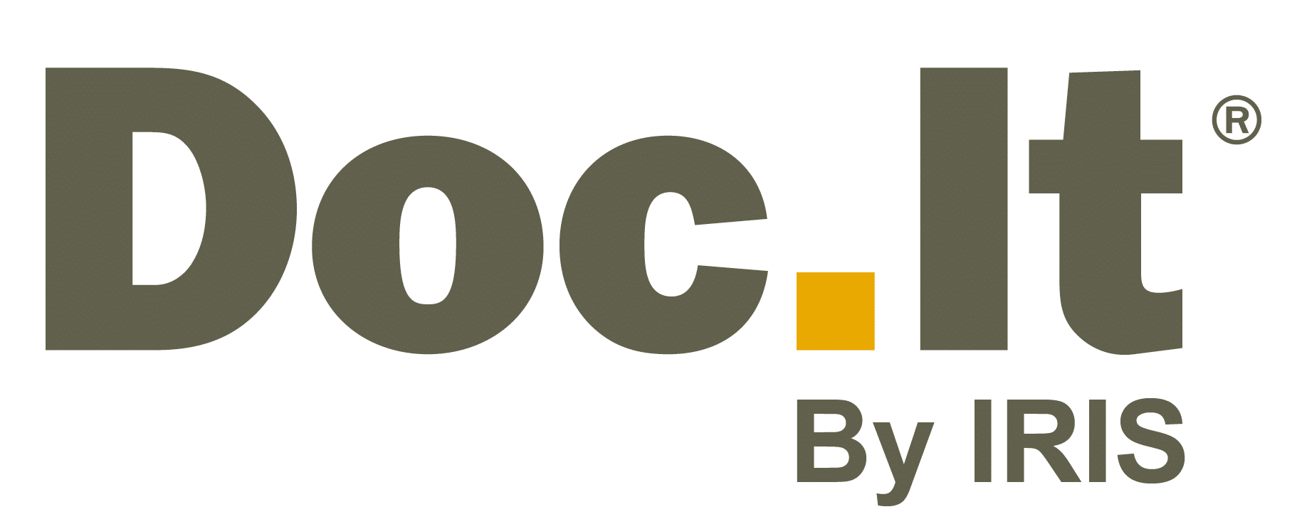 DocIt ByIRIS Logo horiz CMYK