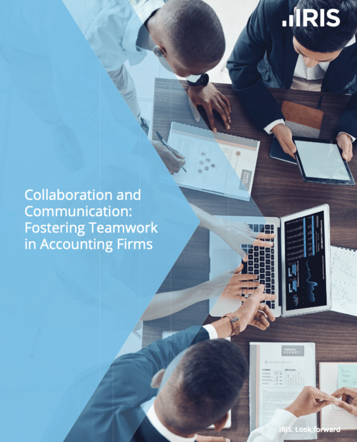 Accounting Firm Management Software | IRIS