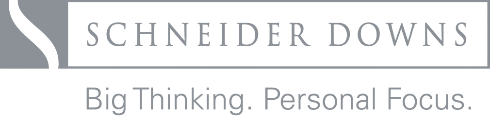 SD logo grey